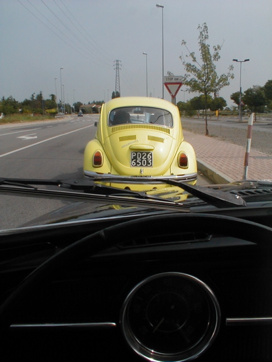 I Rally del DOGE - 6