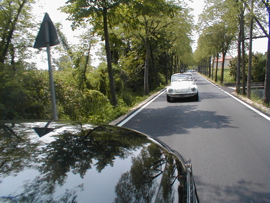 I Rally del DOGE - 15