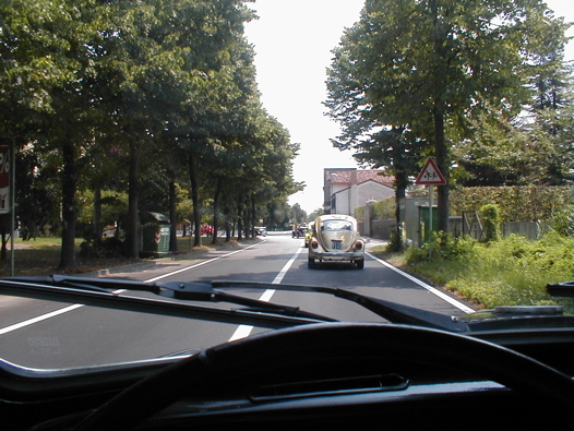 I Rally del DOGE - 16