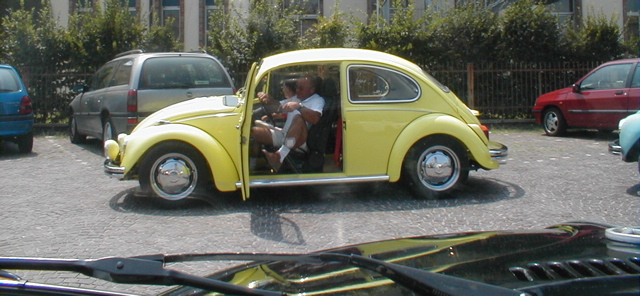 I Rally del DOGE - 20
