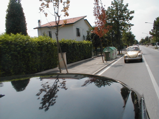 I Rally del DOGE - 23