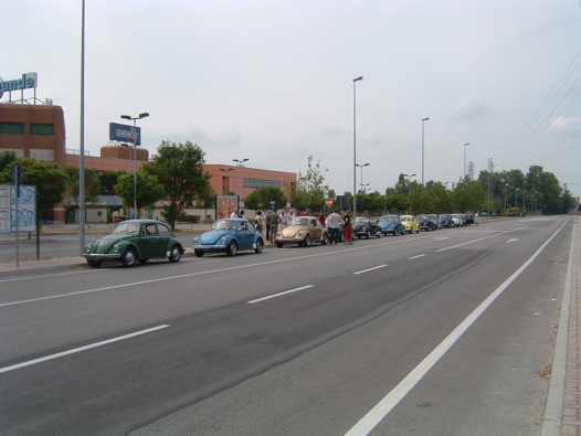 I Rally del DOGE - 24
