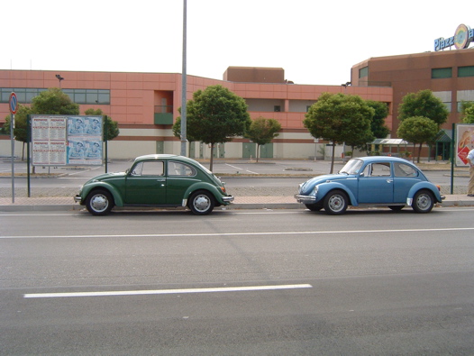 I Rally del DOGE - 25