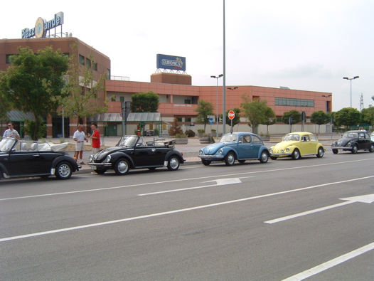 I Rally del DOGE - 26