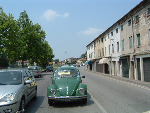 I Rally del DOGE - 30