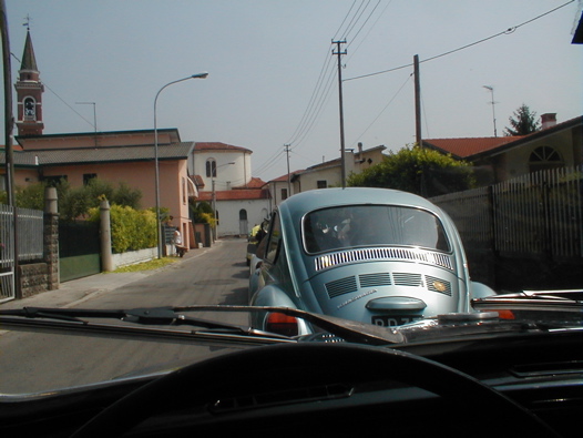 I Rally del DOGE - 8