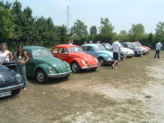 I Rally del DOGE - 35