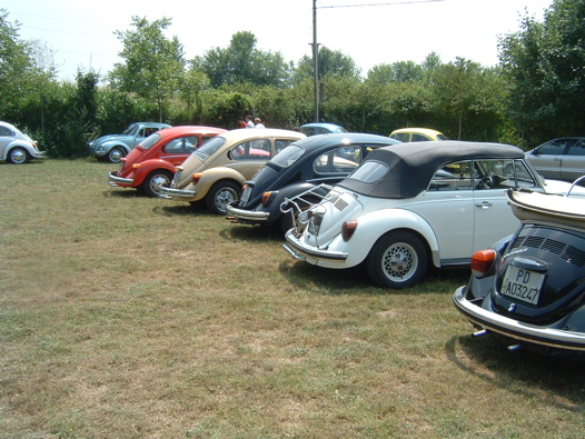 I Rally del DOGE - 37