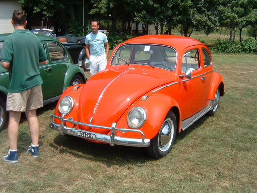 I Rally del DOGE - 39