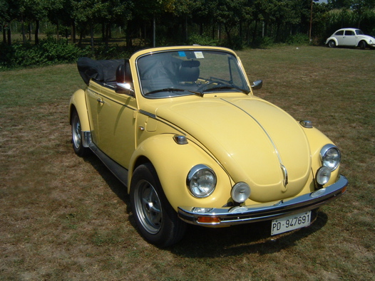 I Rally del DOGE - 53