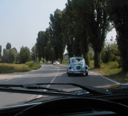 I Rally del DOGE - 10