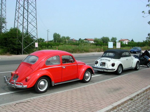 I Rally del DOGE - 59