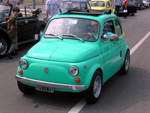 I Rally del DOGE - 60