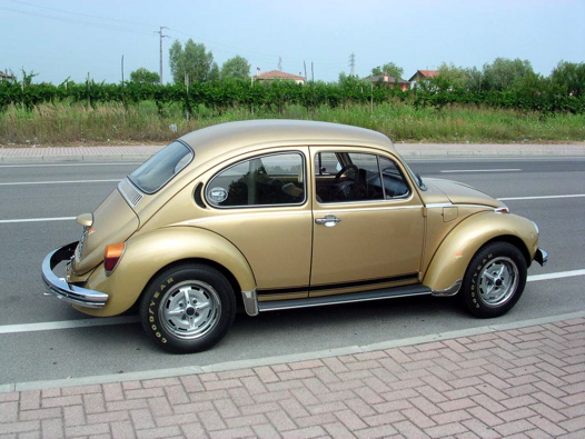 I Rally del DOGE - 62