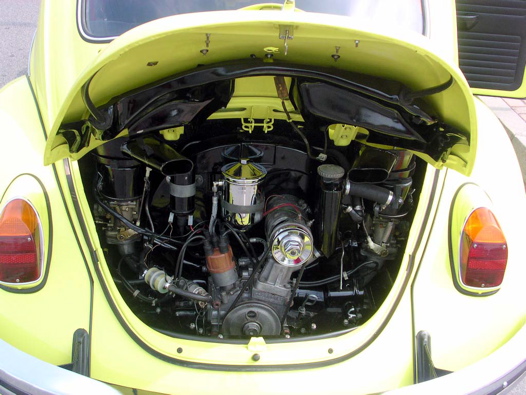 I Rally del DOGE - 63