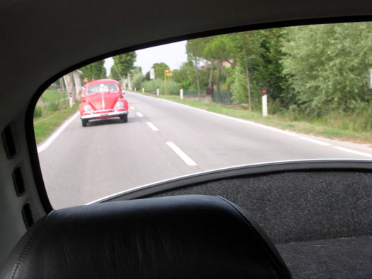 I Rally del DOGE - 65