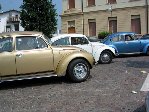 I Rally del DOGE - 71