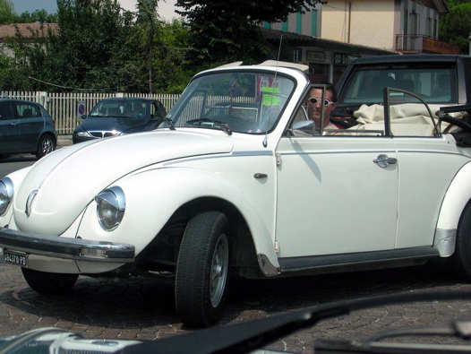 I Rally del DOGE - 72