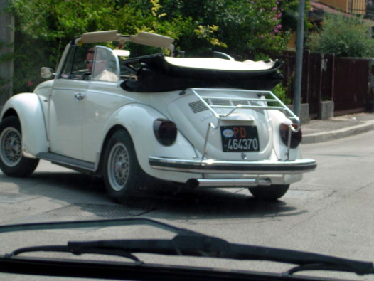 I Rally del DOGE - 75