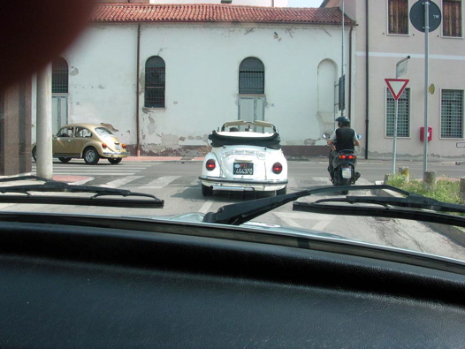I Rally del DOGE - 77