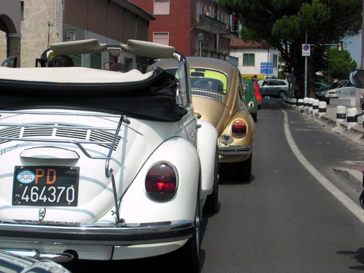 I Rally del DOGE - 78