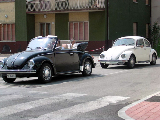 I Rally del DOGE - 79