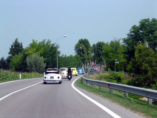 I Rally del DOGE - 80