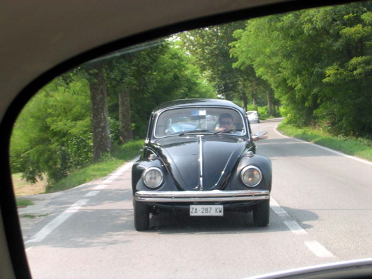 I Rally del DOGE - 81
