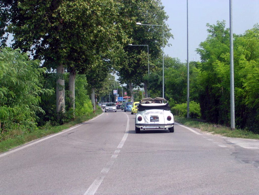 I Rally del DOGE - 82