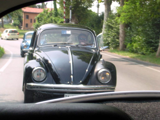 I Rally del DOGE - 83