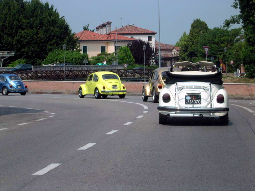 I Rally del DOGE - 84