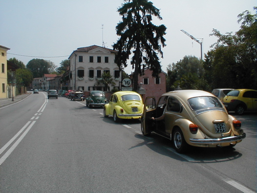 I Rally del DOGE - 13