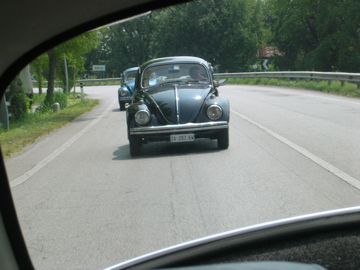 I Rally del DOGE - 86