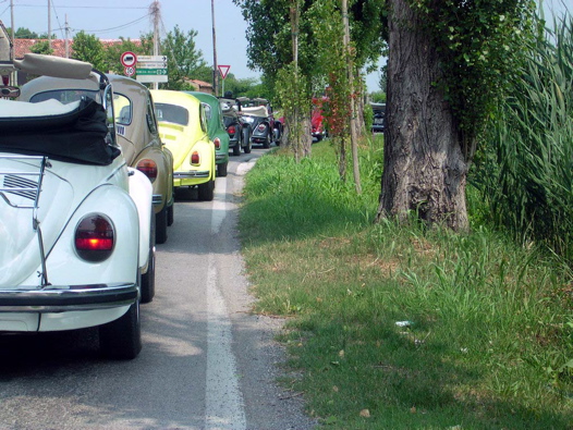 I Rally del DOGE - 87