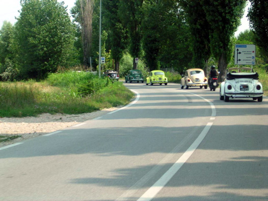 I Rally del DOGE - 88