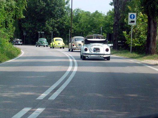 I Rally del DOGE - 89
