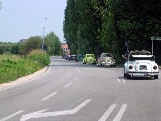 I Rally del DOGE - 90