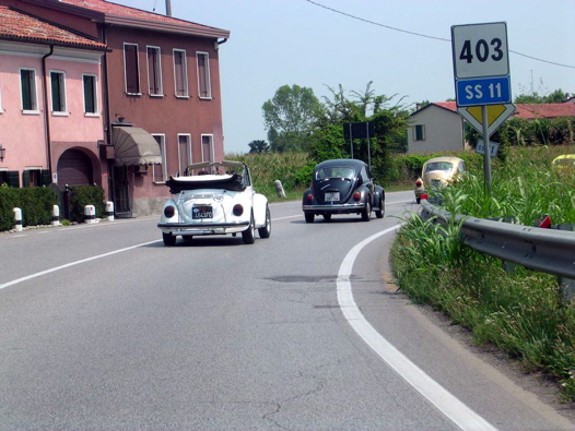 I Rally del DOGE - 92