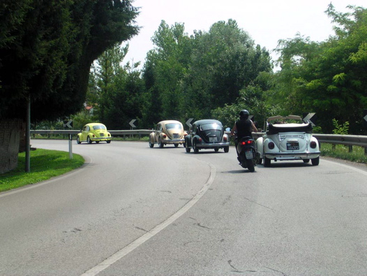 I Rally del DOGE - 94