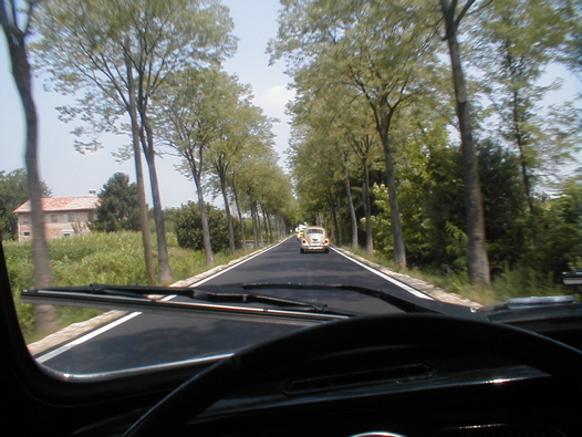 I Rally del DOGE - 14