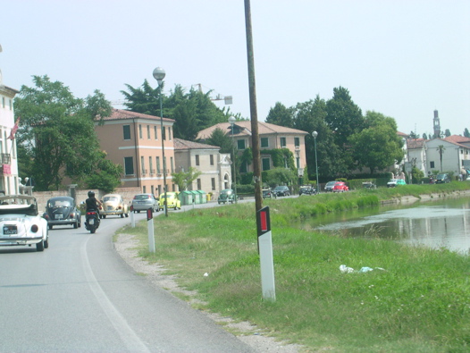 I Rally del DOGE - 96