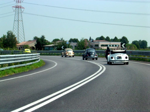 I Rally del DOGE - 97