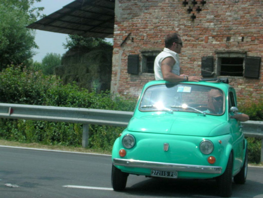 I Rally del DOGE - 99
